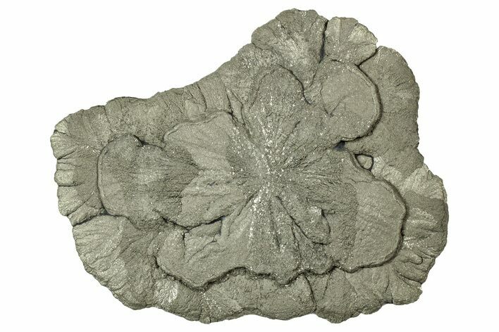 Pyrite Sun - Sparta, Illinois #316012